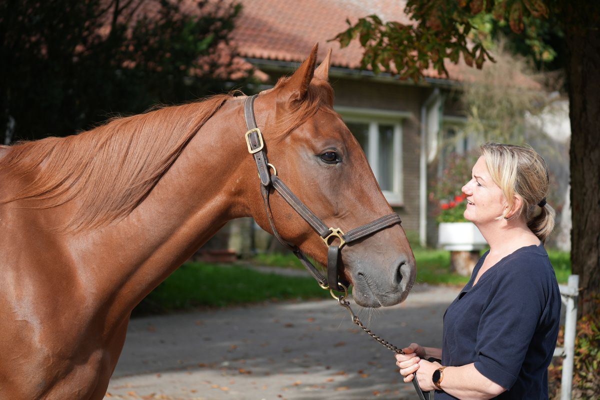 Marlous staat rustig naast een vos en kijkt het paard aan