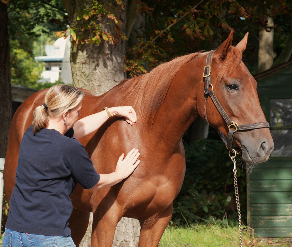 Marlous legt haar handen op de schouder en hals van een vos