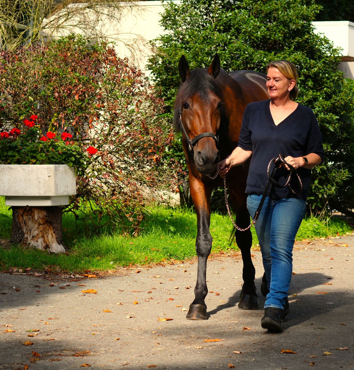 Marlous loopt met een donkerbruin paard aan de hand over een erf